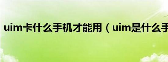 uim卡什么手机才能用（uim是什么手机卡）
