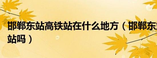 邯郸东站高铁站在什么地方（邯郸东站是高铁站吗）