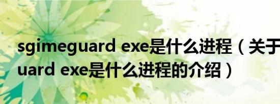 sgimeguard exe是什么进程（关于sgimeguard exe是什么进程的介绍）