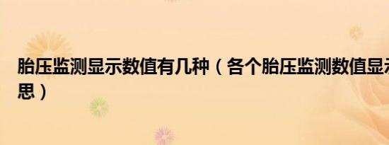 胎压监测显示数值有几种（各个胎压监测数值显示是什么意思）