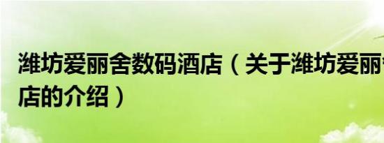 潍坊爱丽舍数码酒店（关于潍坊爱丽舍数码酒店的介绍）