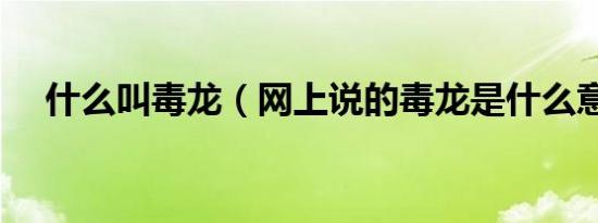 什么叫毒龙（网上说的毒龙是什么意思）