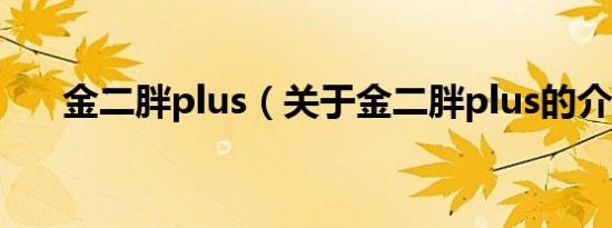 金二胖plus（关于金二胖plus的介绍）