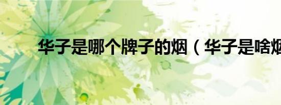 华子是哪个牌子的烟（华子是啥烟）
