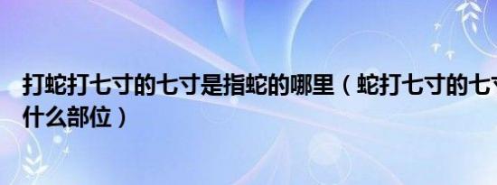 打蛇打七寸的七寸是指蛇的哪里（蛇打七寸的七寸是指蛇的什么部位）