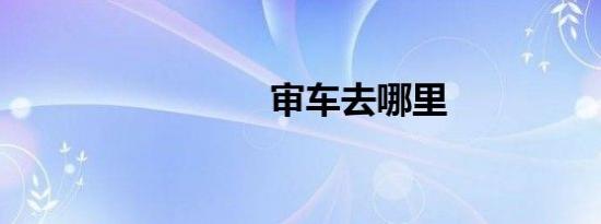 审车去哪里