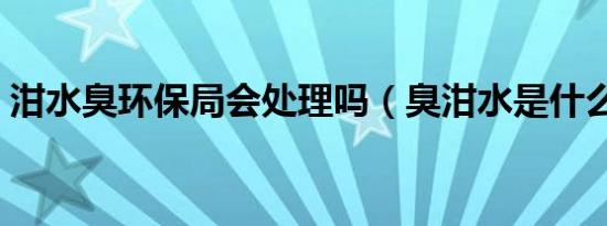 泔水臭环保局会处理吗（臭泔水是什么意思）