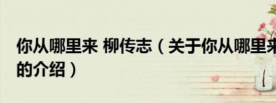 你从哪里来 柳传志（关于你从哪里来 柳传志的介绍）