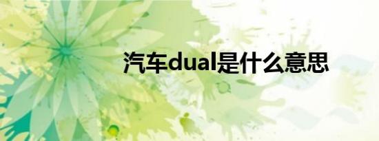 汽车dual是什么意思