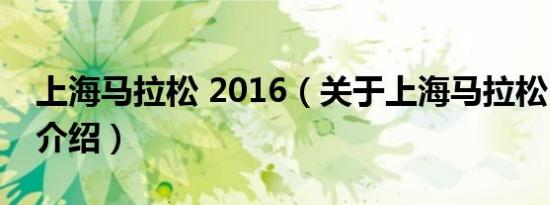 上海马拉松 2016（关于上海马拉松 2016的介绍）