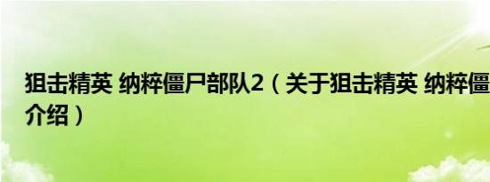 狙击精英 纳粹僵尸部队2（关于狙击精英 纳粹僵尸部队2的介绍）