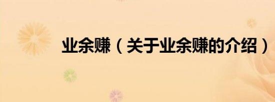 业余赚（关于业余赚的介绍）