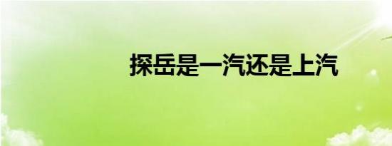 探岳是一汽还是上汽