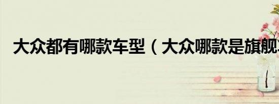 大众都有哪款车型（大众哪款是旗舰车型）