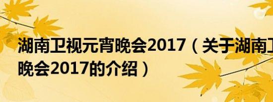 湖南卫视元宵晚会2017（关于湖南卫视元宵晚会2017的介绍）