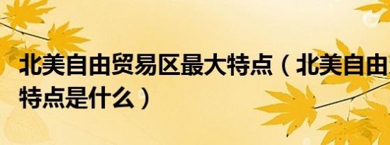 北美自由贸易区最大特点（北美自由贸易区的特点是什么）