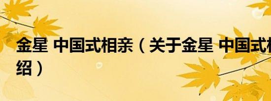 金星 中国式相亲（关于金星 中国式相亲的介绍）