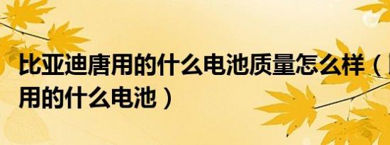 比亚迪唐用的什么电池质量怎么样（比亚迪唐用的什么电池）