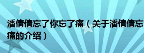 潘倩倩忘了你忘了痛（关于潘倩倩忘了你忘了痛的介绍）