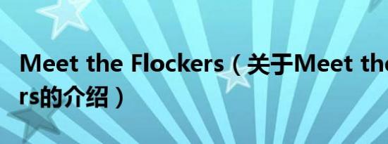Meet the Flockers（关于Meet the Flockers的介绍）