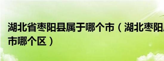 湖北省枣阳县属于哪个市（湖北枣阳属于哪个市哪个区）