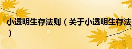 小透明生存法则（关于小透明生存法则的介绍）