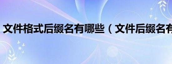 文件格式后缀名有哪些（文件后缀名有哪些）