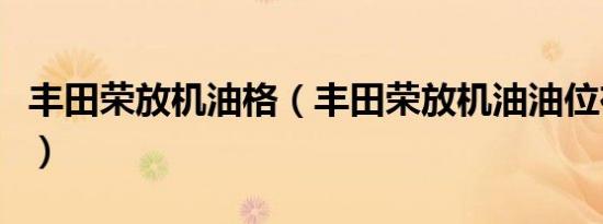 丰田荣放机油格（丰田荣放机油油位在哪里看）