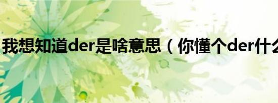 我想知道der是啥意思（你懂个der什么意思）