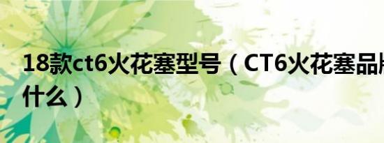 18款ct6火花塞型号（CT6火花塞品牌型号是什么）