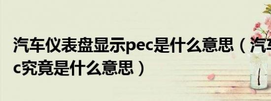 汽车仪表盘显示pec是什么意思（汽车上的pec究竟是什么意思）