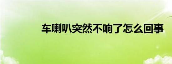 车喇叭突然不响了怎么回事