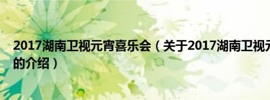 2017湖南卫视元宵喜乐会（关于2017湖南卫视元宵喜乐会的介绍）