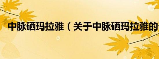 中脉硒玛拉雅（关于中脉硒玛拉雅的介绍）