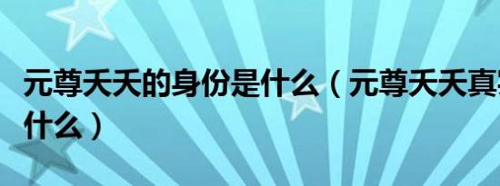 元尊夭夭的身份是什么（元尊夭夭真实身份是什么）