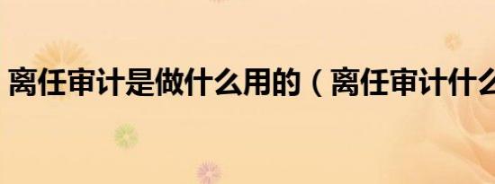 离任审计是做什么用的（离任审计什么意思）