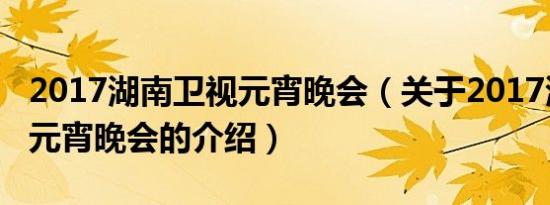 2017湖南卫视元宵晚会（关于2017湖南卫视元宵晚会的介绍）