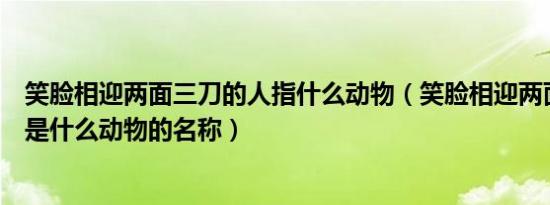 笑脸相迎两面三刀的人指什么动物（笑脸相迎两面三刀的人是什么动物的名称）