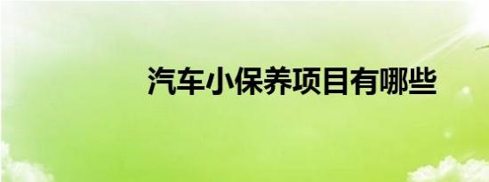 汽车小保养项目有哪些
