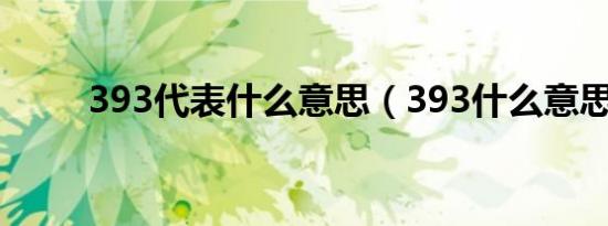 393代表什么意思（393什么意思）