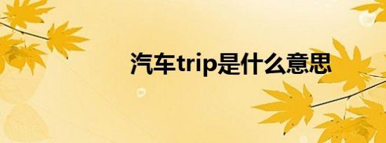 汽车trip是什么意思