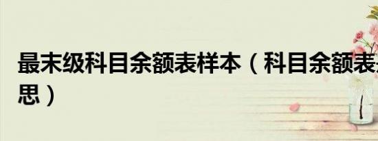 最末级科目余额表样本（科目余额表是什么意思）