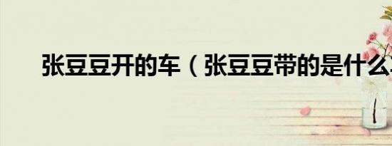 张豆豆开的车（张豆豆带的是什么车）
