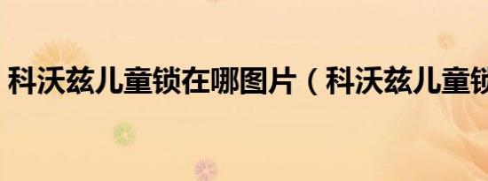 科沃兹儿童锁在哪图片（科沃兹儿童锁在哪）