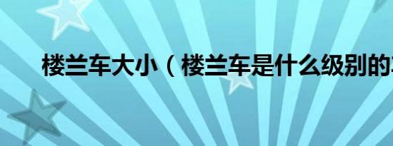 楼兰车大小（楼兰车是什么级别的车）