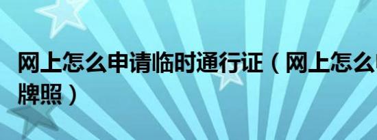 网上怎么申请临时通行证（网上怎么申请临时牌照）