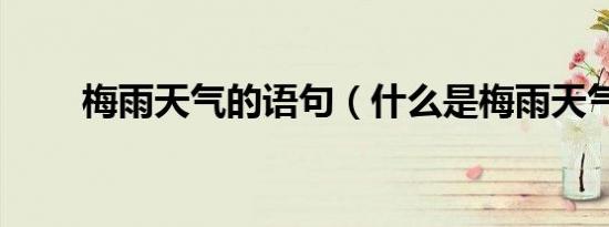 梅雨天气的语句（什么是梅雨天气）