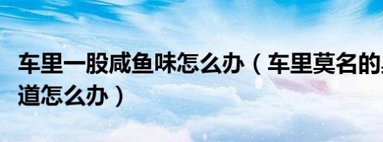 车里一股咸鱼味怎么办（车里莫名的臭咸鱼味道怎么办）