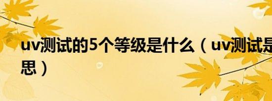 uv测试的5个等级是什么（uv测试是什么意思）