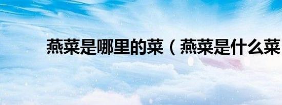 燕菜是哪里的菜（燕菜是什么菜）